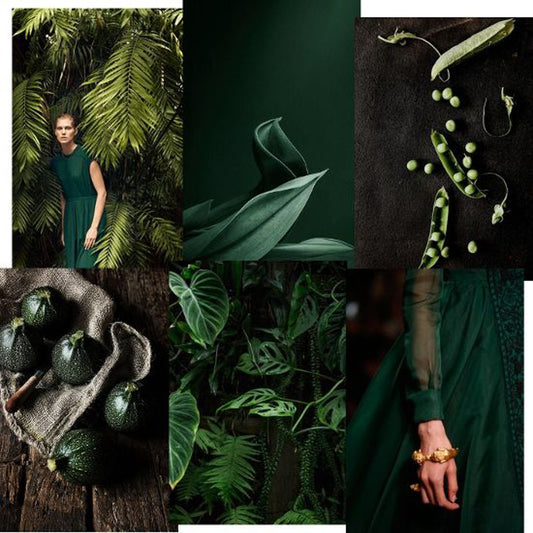 Colour Trend: Green