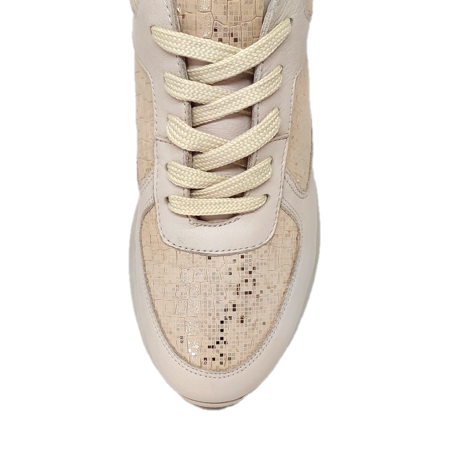 Womens lace up sneaker showing almond toe shape